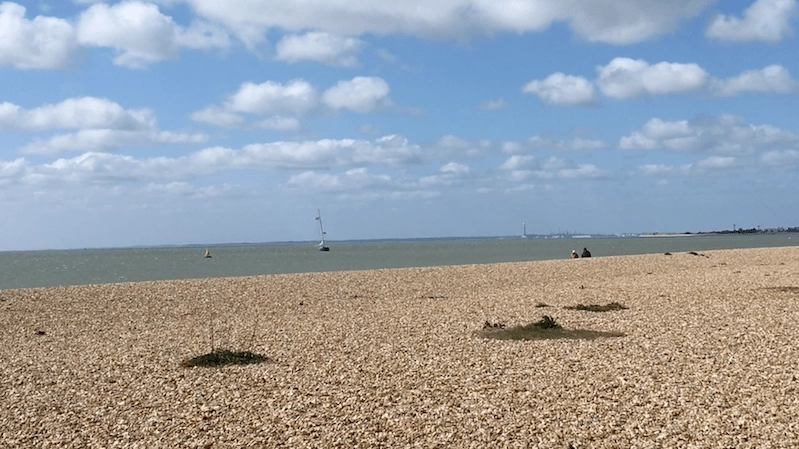 beach with sky in background