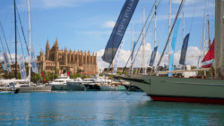 Palma - cathedral in background, boat bow in foreground. Used to illustrate article on PIBS exhibiting