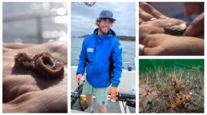 Dr Ben Harris and creatures from the muddy seabeds