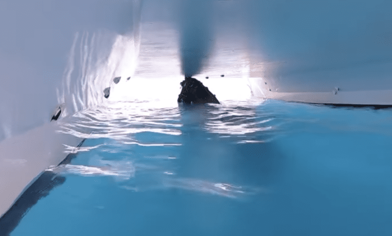 La valutazione del sistema Viking WhaleSpotter si concentra sul rischio ...