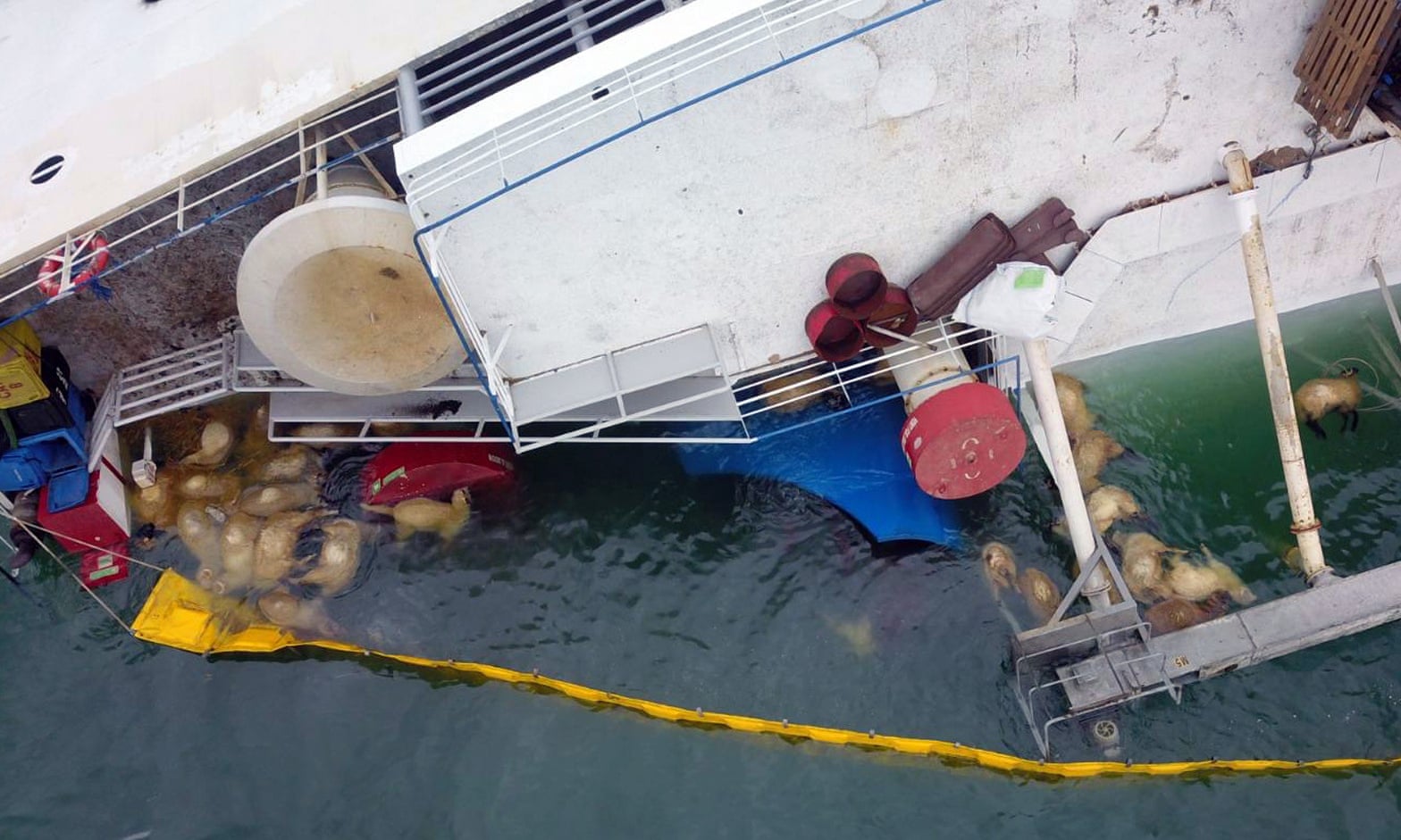 Marine Industry News