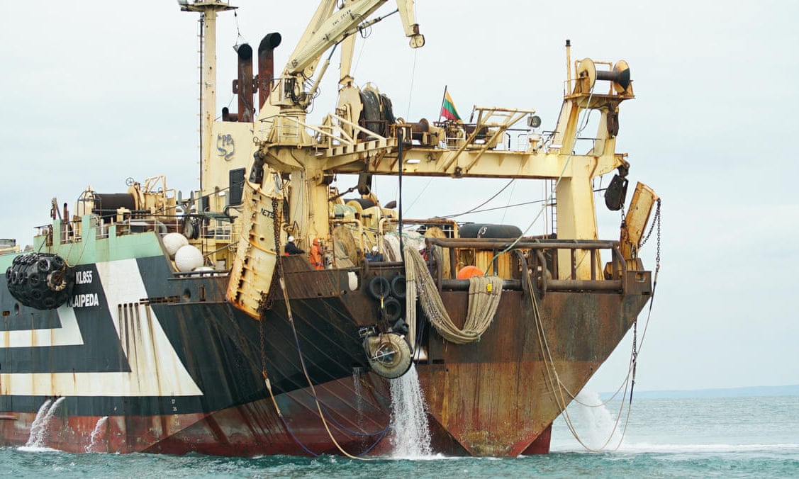 Marine Industry News