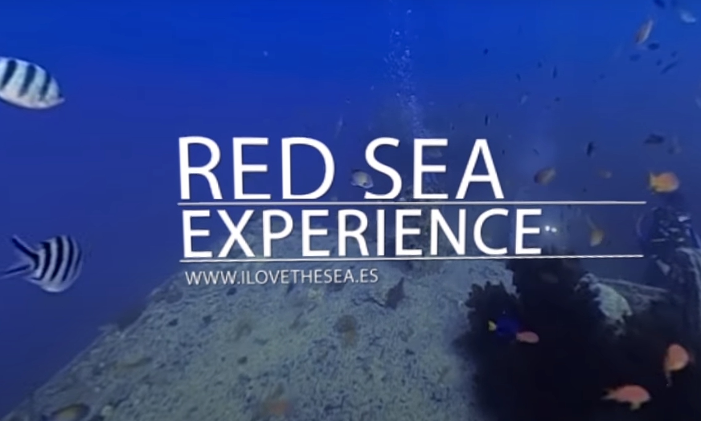 Marine Industry News