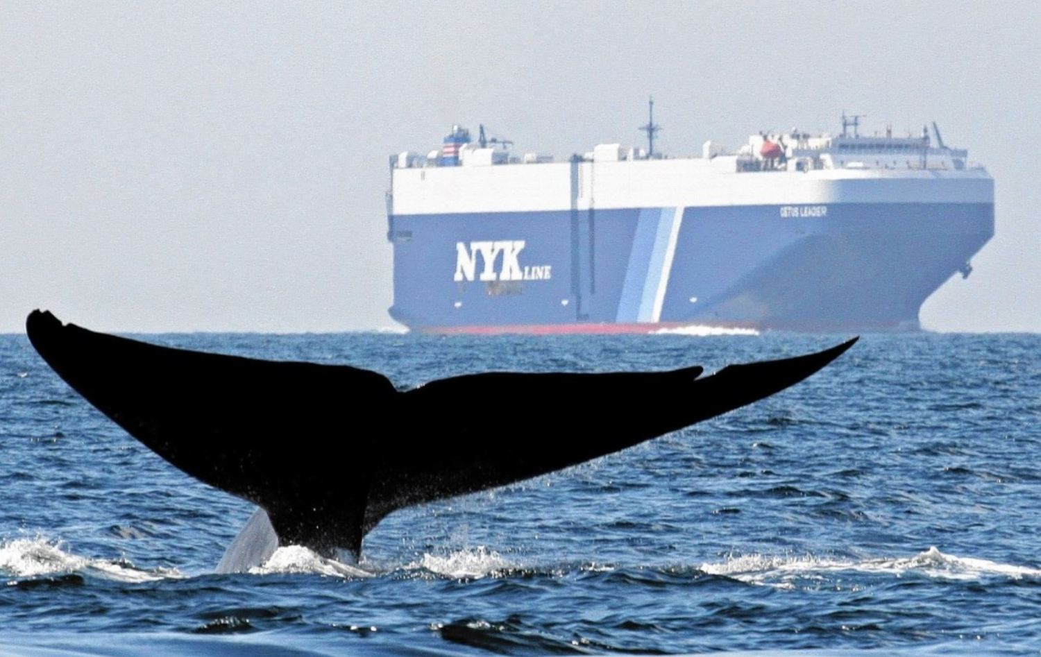 Marine Industry News