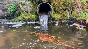Sewage discharged into rivers