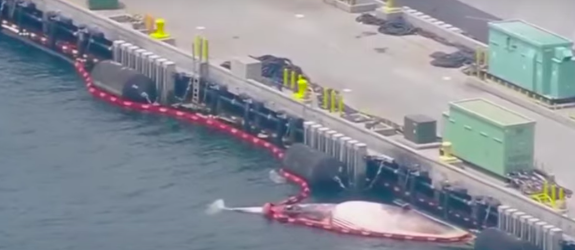 Marine Industry News