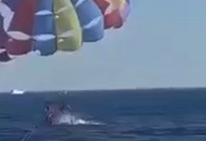 VIDEO: Leaping shark attacks parasailor