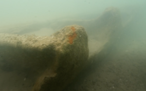 VIDEO: 125-year-old shipwreck revealed by calm weather