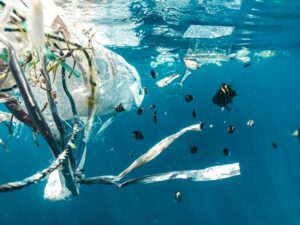 Researchers use bacteria to biodegrade marine plastics