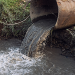The River Trust sewage pollution