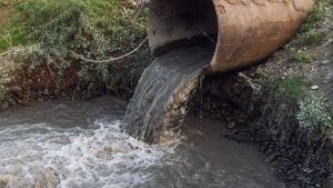 L'inquinamento delle acque reflue del fiume Trust