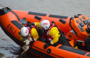 Video: RNLI rescues soggy moggy