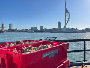 seagrass bundles by Portsmouth