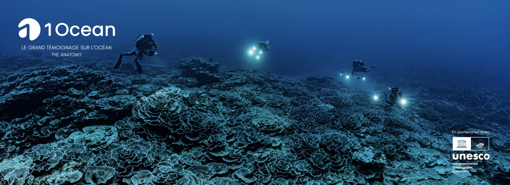 Marine Industry News