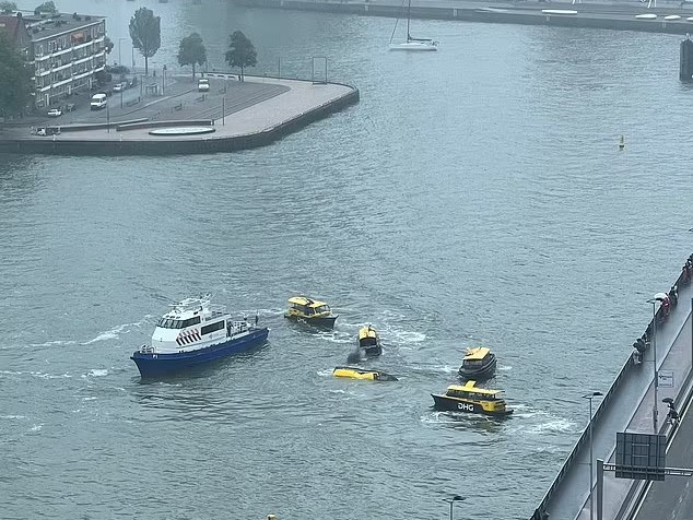 tourist boat collides with Rotterdam water taxi
