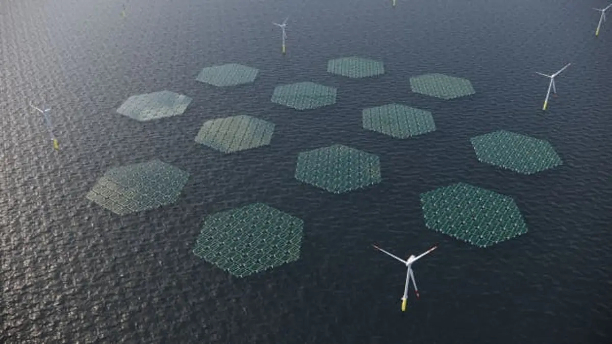 Marine Industry News