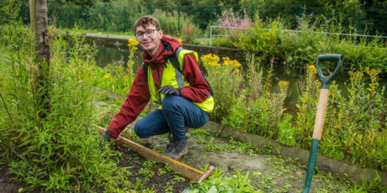 Planting green spaces along the waterway