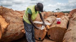 Sunseeker’s timber imports involved teak from Myanmar, wenge from Africa, and European oak.