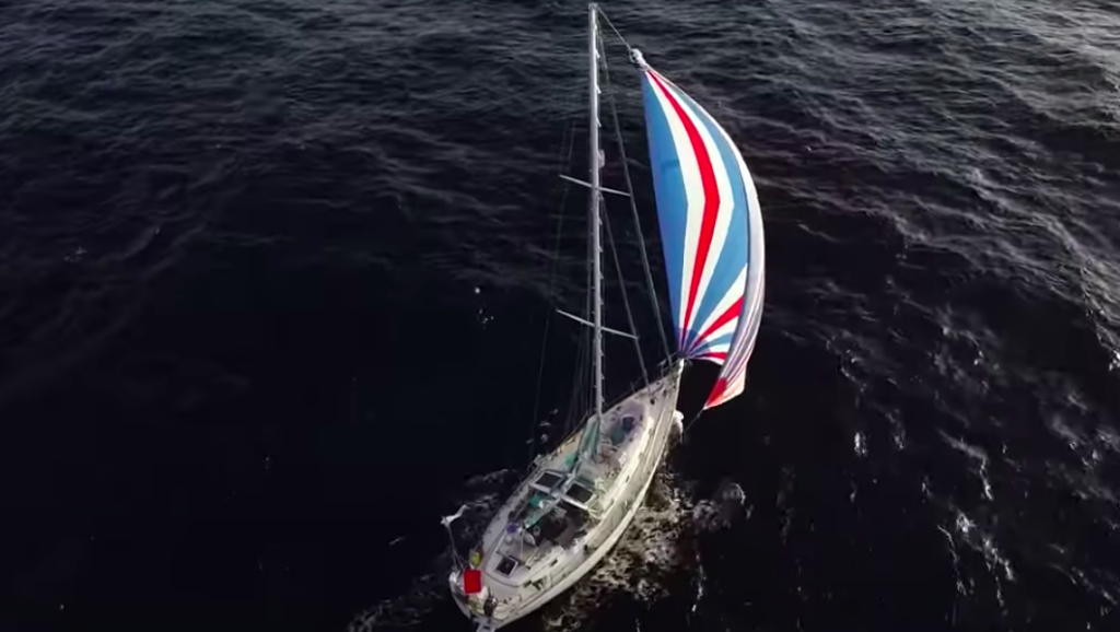 Technology saved our lives, says captain after whale sinks boat
