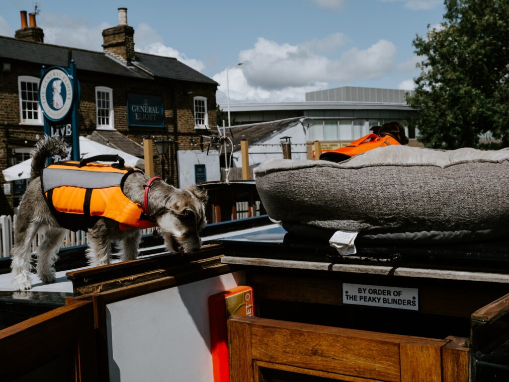 Canal boat dog