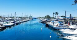 A marina in Hawaii