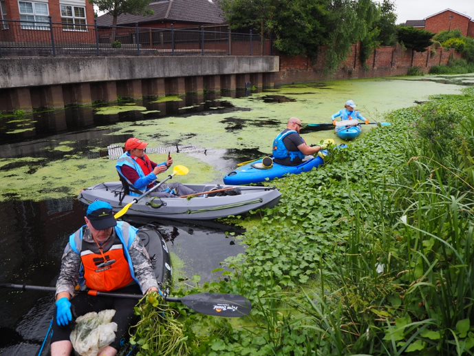 Floating Pennywort