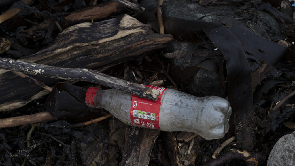 Botella de plástico entre madera a la deriva en una playa