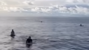 BREAKING_ Heart-stopping moment Aussie surfers found alive in Aceh, Indonesia 0-16 screenshot
