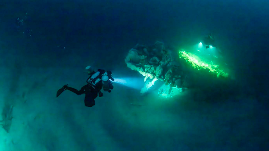 Marine Industry News