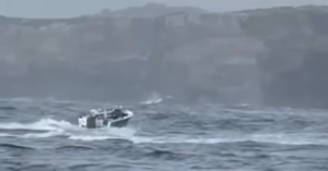 シドニーのボタニー湾でクジラがボートをひっくり返し男性死亡