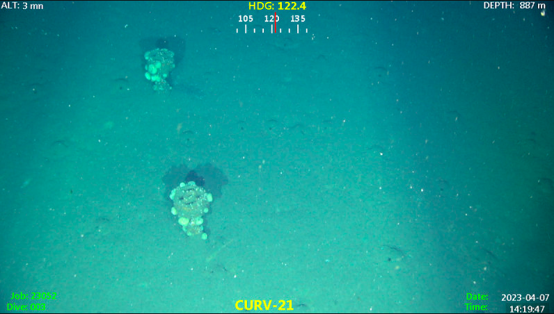 munitions dumped on US seabed by US Navy