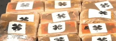 Pacotes de cocaína em embalagens de folhas de trevo