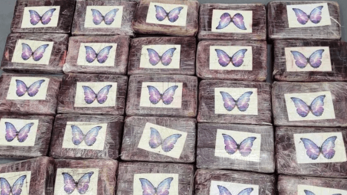 pacotes de cocaína após serem encontrados por um velejador na Flórida com o logotipo de uma borboleta na frente.