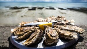 Plate of oysters on the seafront.