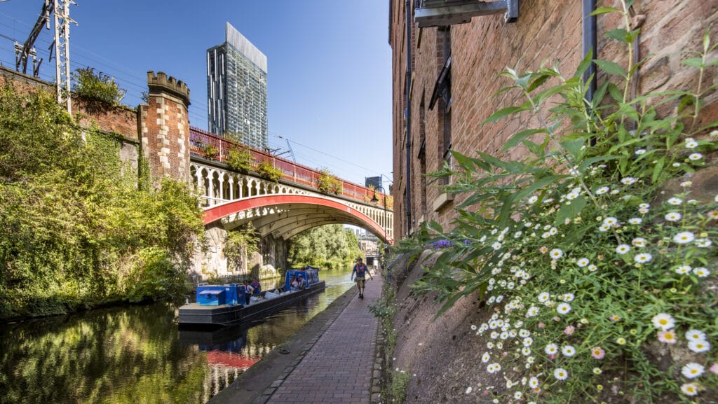 Urban nature Manchester Rochdale Canal