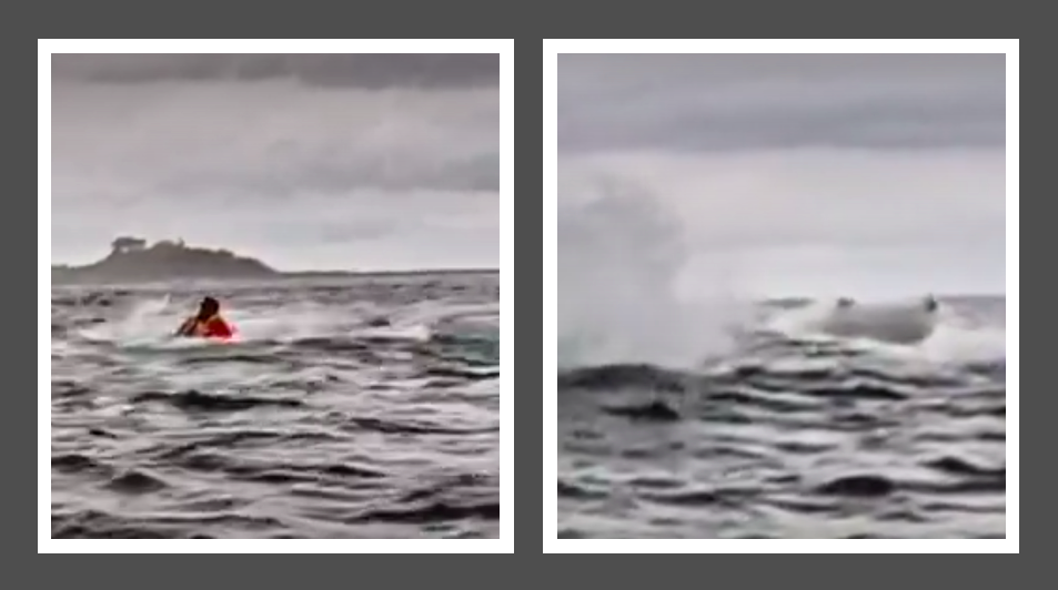 whale submerges with man and boat in its mouth