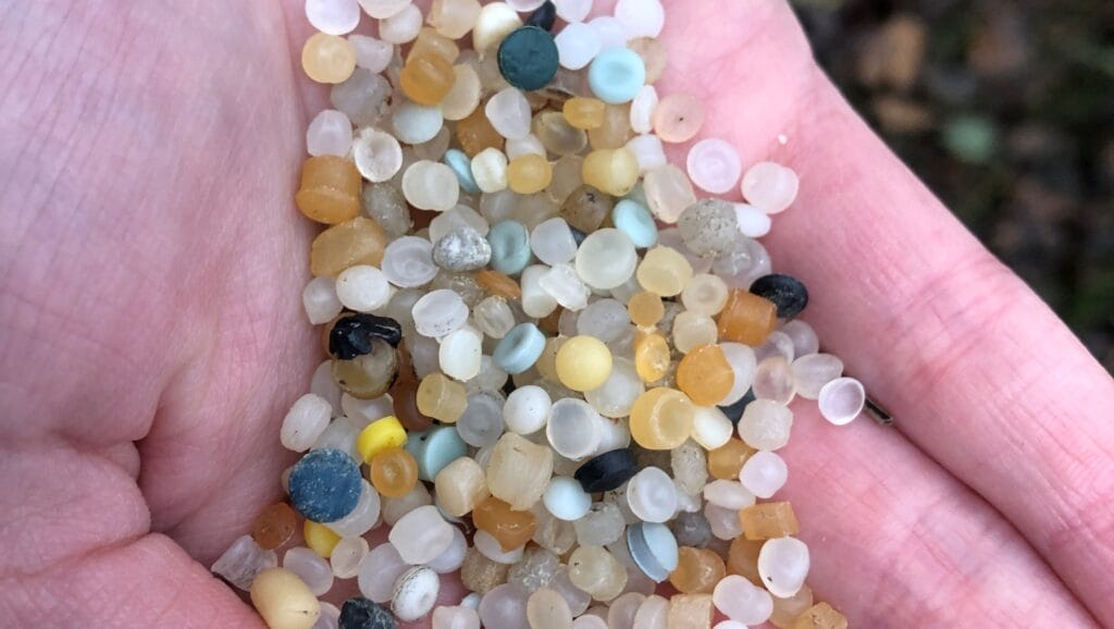 Nurdles found previously Scarborough South 231208 (c) Ana Cowie