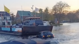 mini in water