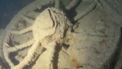 Underwater view of SS Almond Branch shipwreck bought for £300 on Facebook Marketplace