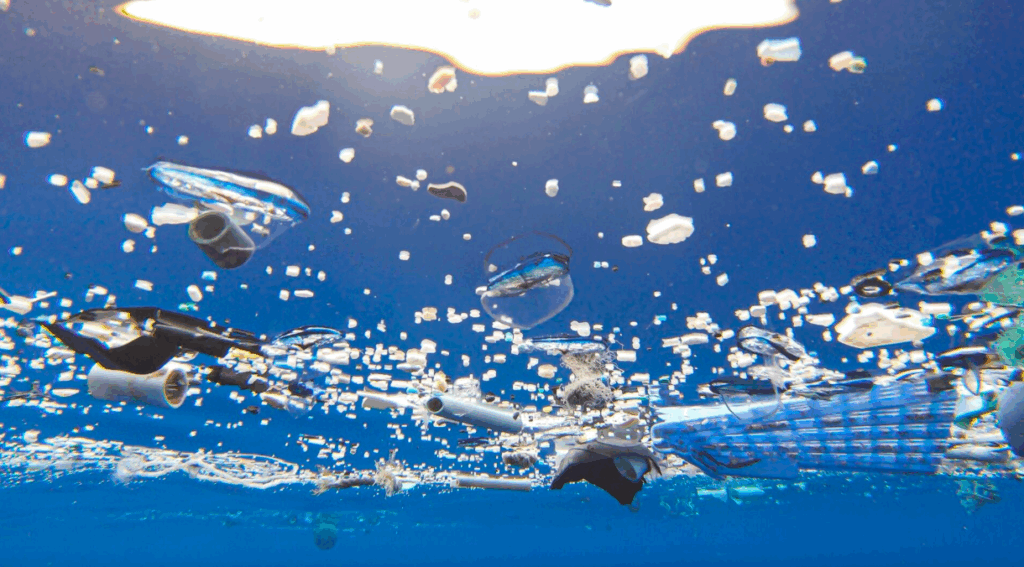 Underwater view of plastic in water from Ocean Cleanup. Shows problem of GPGP