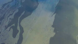 oil on water