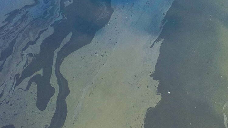 oil on water