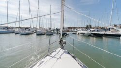 MDL Dock & Discover