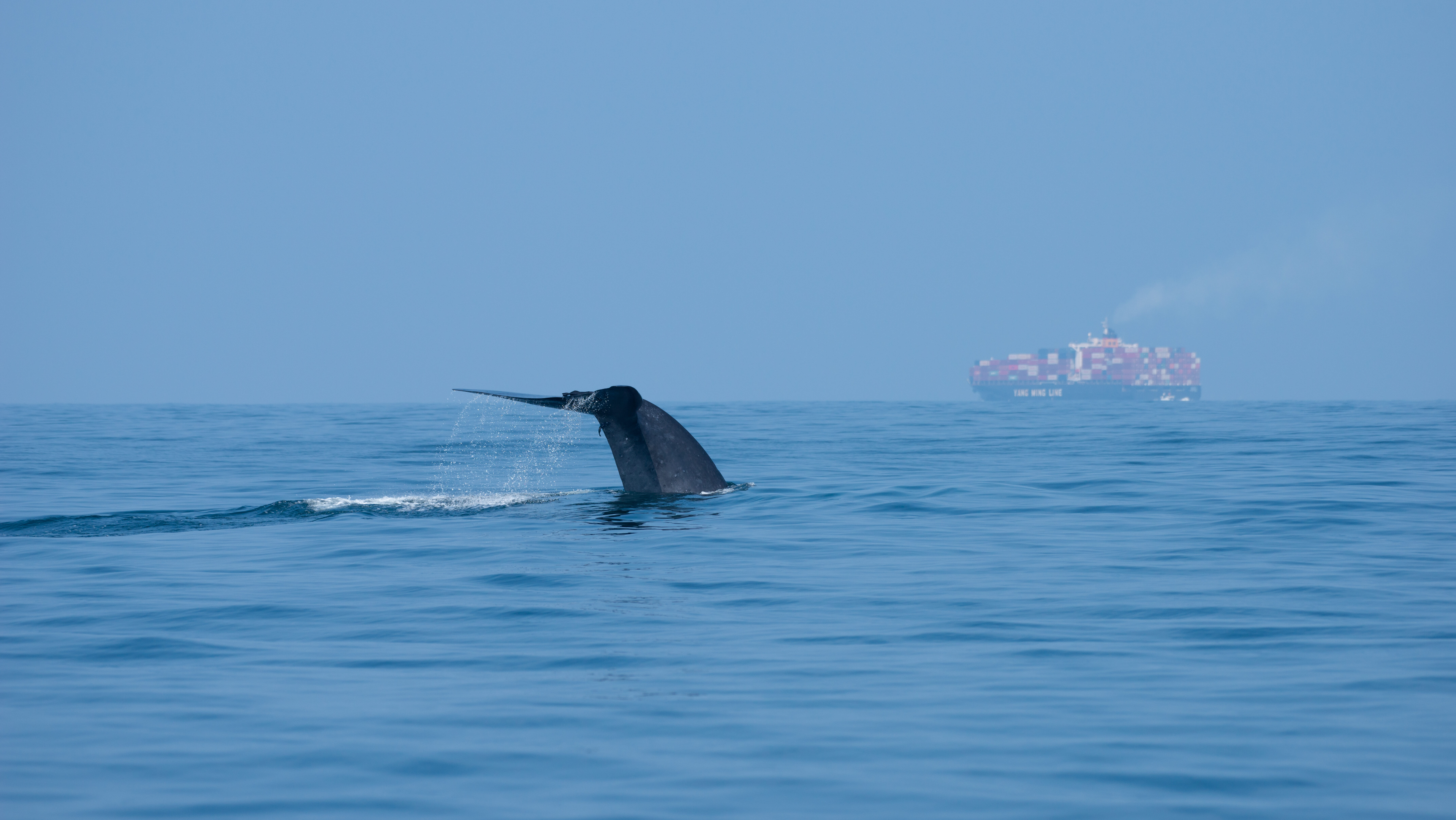 Marine Industry News