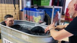MDL Cold water immersion
