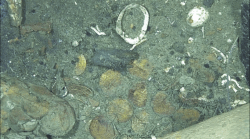 San José shipwreck photo