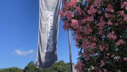 flag outside Besenzoni with pink flowers