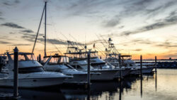 a row of boats in a marina