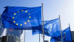 European Union flags