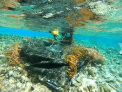 Fish Aggregating Devices in ocean